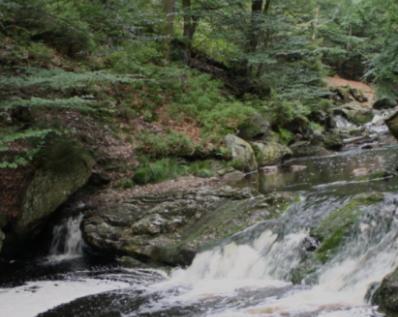 Gite Ardennes Au Coin Du Feu Jacuzzi Sauna Et Nature Jalhay Extérieur photo